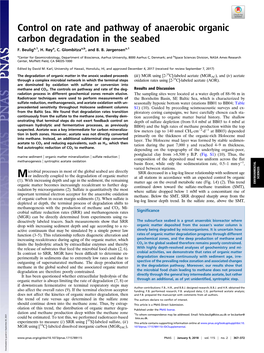 Control on Rate and Pathway of Anaerobic Organic Carbon Degradation in the Seabed