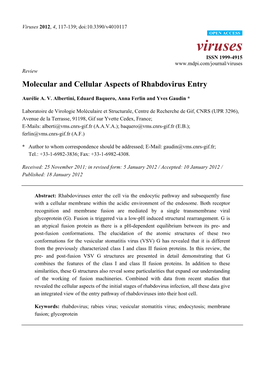 Molecular and Cellular Aspects of Rhabdovirus Entry