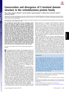 E2F Transcription Factor in Mouse Cancer Models (3, 15), and Mutations Are More Com- Family