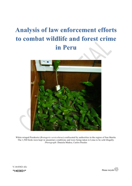 Analysis of Law Enforcement Efforts to Combat Wildlife and Forest Crime in Peru