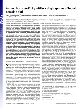 Ancient Host Specificity Within a Single Species of Brood Parasitic Bird