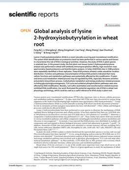 Global Analysis of Lysine 2-Hydroxyisobutyrylation in Wheat Root