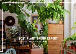 2021 Plant Trend Report Plant Predictions