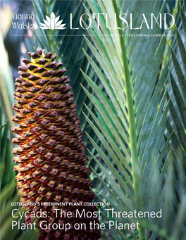 Cycads: the Most Threatened Plant Group on the Planet LETTER from the EXECUTIVE DIRECTOR