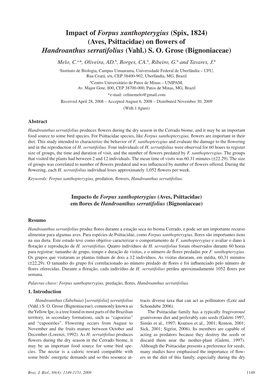 Impact of Forpus Xanthopterygius (Spix, 1824) (Aves, Psittacidae) on Flowers of Handroanthus Serratifolius (Vahl.) S