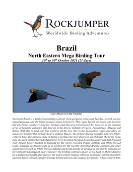 Brazil North Eastern Mega Birding Tour 10Th to 30Th October 2021 (21 Days)