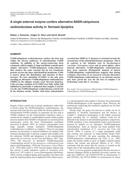 External NADH Dehydrogenase in Y. Lipolytica 2349 Suspension Was Incubated at 30¡C for 10 Minutes