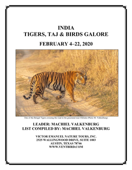 India Tigers, Taj & Birds Galore