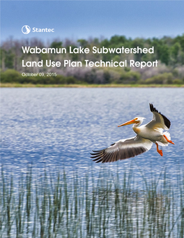 Wabamun Lake Subwatershed Land Use Plan Phase 1 Report