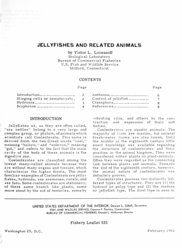 ) Jellyfishes and Related Animals