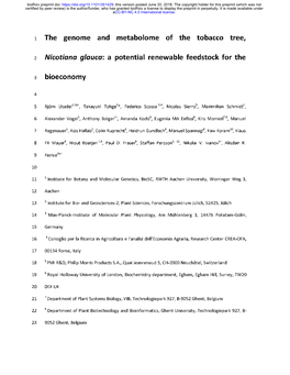 The Genome and Metabolome of the Tobacco Tree, Nicotiana Glauca: A