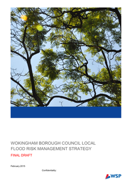 Wokingham Borough Council Local Flood Risk Management Strategy Final Draft