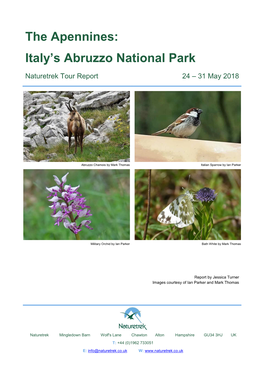 The Apennines: Italy's Abruzzo National Park