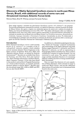 Discovery of Bahia Spinetail Synallaxis Cinerea in North-East