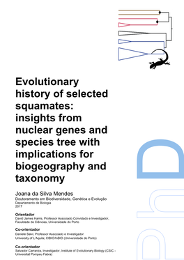 Evolutionary History of Selected Squamates: Insights From