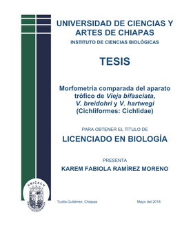Universidad De Ciencias Y Artes De Chiapas Licenciado
