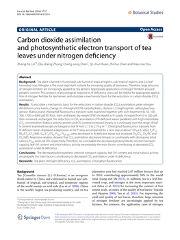 Carbon Dioxide Assimilation and Photosynthetic