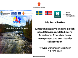 Mitigating Negative Impacts on Fish Populations in Regulated Rivers. Experiences from River Basin Management and Cross-Border Co