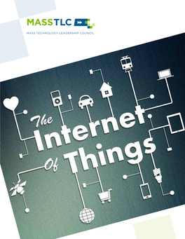 Masstlc Iot Report 3-Final-Web