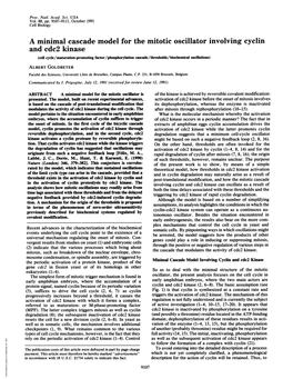 A Minimal Cascade Model for the Mitotic Oscillator Involving Cyclin