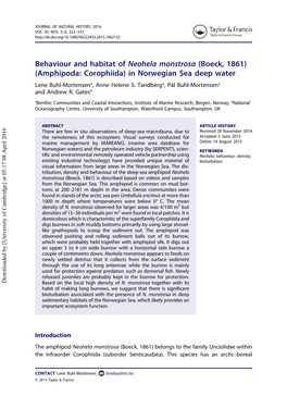 Behaviour and Habitat of Neohela Monstrosa (Boeck, 1861) (Amphipoda: Corophiida) in Norwegian Sea Deep Water Lene Buhl-Mortensena, Anne Helene S