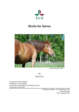 Herbs for Horses