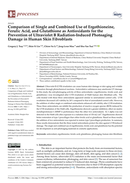 Comparison of Single and Combined Use of Ergothioneine, Ferulic Acid