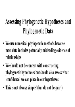 Support Measures in Phylogenetics