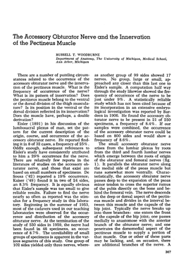 The Accessory Obturator Nerve and the Innervation of the Pectineus Muscle