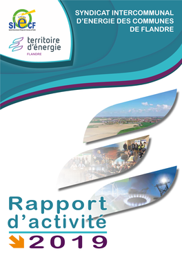 Rapport D'activité