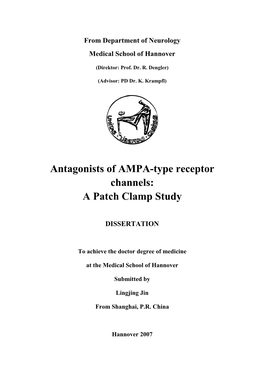 Antagonists of AMPA-Type Receptor Channels: a Patch Clamp Study