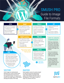 SMUSH PRO Guide to Image File Formats