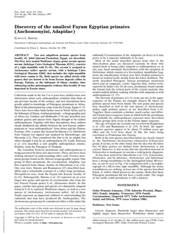 Discovery of the Smallest Fayum Egyptian Primates (Anchomomyini, Adapidae)