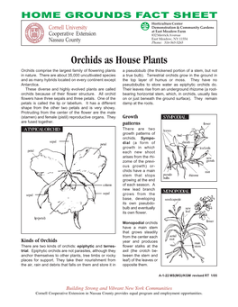 Orchids As House Plants Orchids Comprise the Largest Family of Flowering Plants a Pseudobulb (The Thickened Portion of a Stem, but Not in Nature