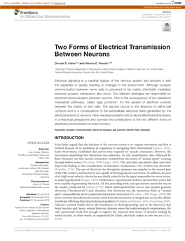 Two Forms of Electrical Transmission Between Neurons