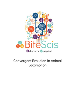 Convergent Evolution in Animal Locomotion