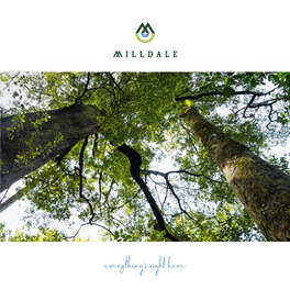 Milldale Brochure