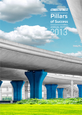ANNUAL REPORT 2013 Pillars of Success