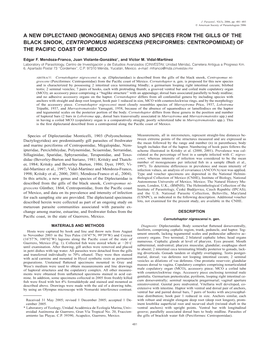 Monogenea) Genus and Species from the Gills of the Black Snook, Centropomus Nigrescens (Perciformes: Centropomidae) of the Pacific Coast of Mexico