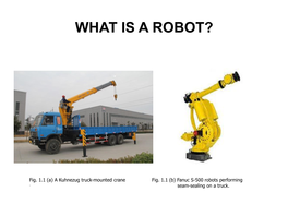 What Is a Robot?