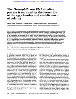 The Drosophila Orb RNA-Binding Protein Is Required for the Formation of the Egg Chamber and Establishment of Polarity