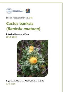 Banksia Anatona)
