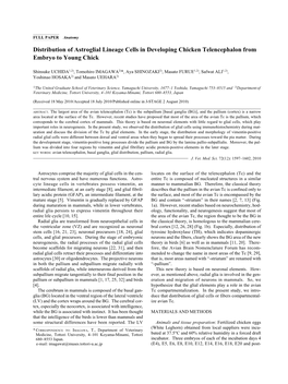 Distribution of Astroglial Lineage Cells in Developing Chicken Telencephalon from Embryo to Young Chick