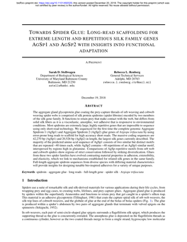 Towards Spider Glue: Long-Read Scaffolding for Extreme Length and Repetitious Silk Family Genes Agsp1 and Agsp2 with Insights In