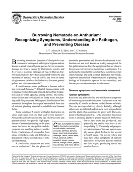 Burrowing Nematode on Anthurium: Recognizing Symptoms, Understanding the Pathogen, and Preventing Disease