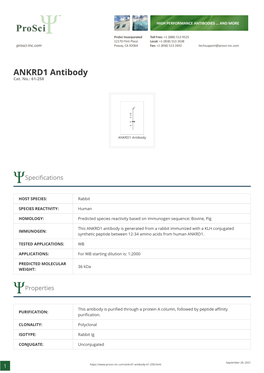 ANKRD1 Antibody Cat