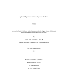 Epithelial Migration on the Canine Tympanic Membrane