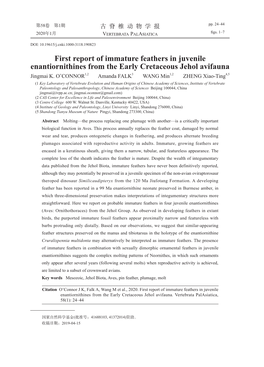 First Report of Immature Feathers in Juvenile Enantiornithines from the Early Cretaceous Jehol Avifauna Jingmai K