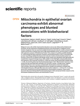 Mitochondria in Epithelial Ovarian Carcinoma Exhibit Abnormal Phenotypes and Blunted Associations with Biobehavioral Factors Snehal Bindra1, Marlon A