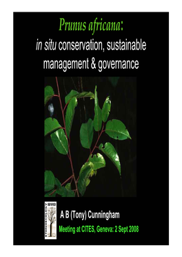 Prunus Africana: in Situ Conservation, Sustainable Management & Governance